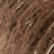 0068 0068