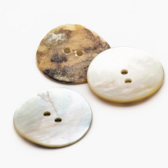 Ракушка натуральная 25 мм