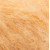 apricot 034 apricot 034