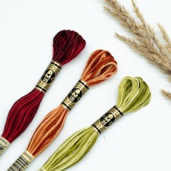 Мулине DMС Меланж (Color Variations)