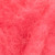coral 002