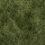 olive 006