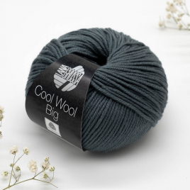 Пряжа Lana Grossa Cool Wool Big 1004