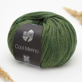 Пряжа Lana Grossa Cool Merino 004