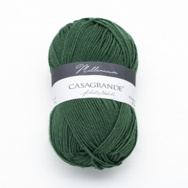 Пряжа Casagrande Millennium 31.015