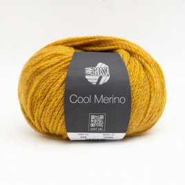 Пряжа Lana Grossa Cool Merino 008