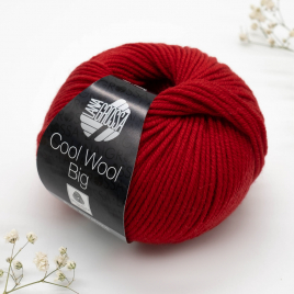 Пряжа Lana Grossa Cool Wool Big 648
