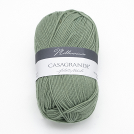 Пряжа Casagrande Millennium 31.013