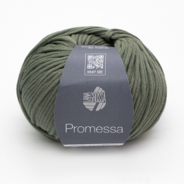 Пряжа Lana Grossa Promessa 017