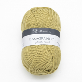Пряжа Casagrande Millennium 31.010