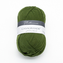 Пряжа Casagrande Millennium 31.014