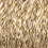 0050