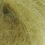 069 willow