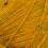 mustard 004
