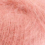 seabuckhorn 056