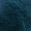 alga 017