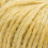 mustard 011