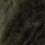 0098