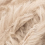 col.002