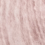 15.017 Lychee