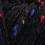 black 008