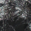 черный лак