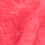 002 coral