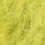 116