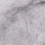 dust 044