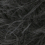 0004