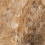 col.009