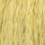 135 sulfur yellow