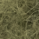 118