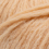 apricot 020