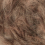067