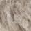 096