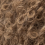 13.005 Oak