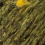 28.009