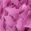 0085