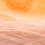 salmon 014