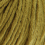 olive 014