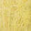 625