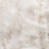 202
