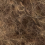 col.010