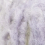 200