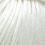 white 001