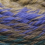 forest 006