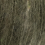 616