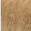 006 Gold Sand