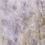 207